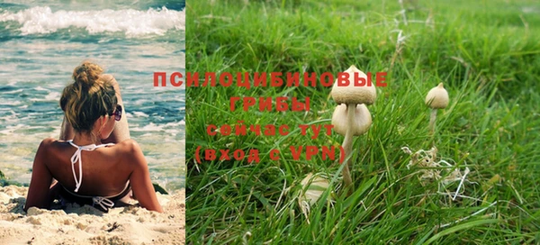 альфа пвп Новокубанск