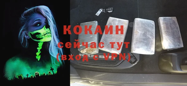 шишки Володарск