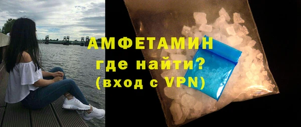 гидра Болотное