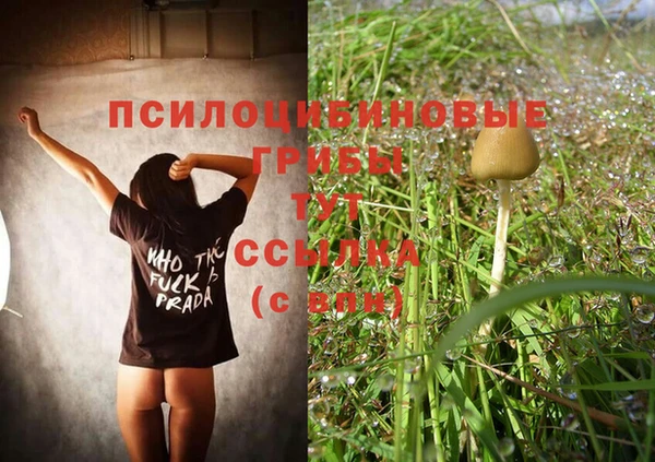 МДМА Няндома