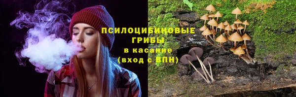 альфа пвп Новокубанск