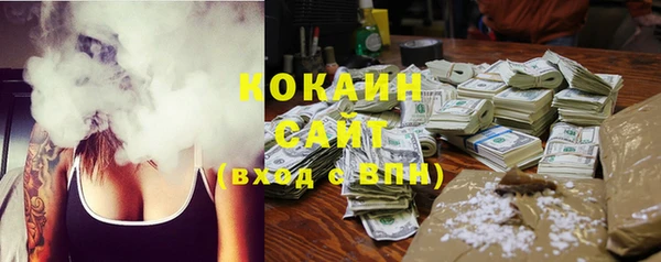 ешки Новодвинск