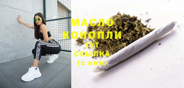 ешки Новодвинск